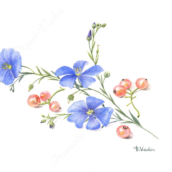 Composition aquarelle botanique