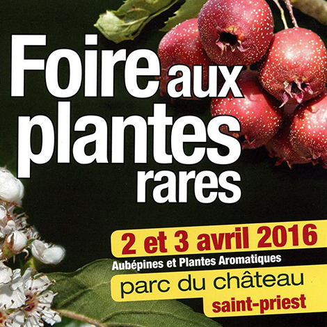 photo affiche foire aux plantes