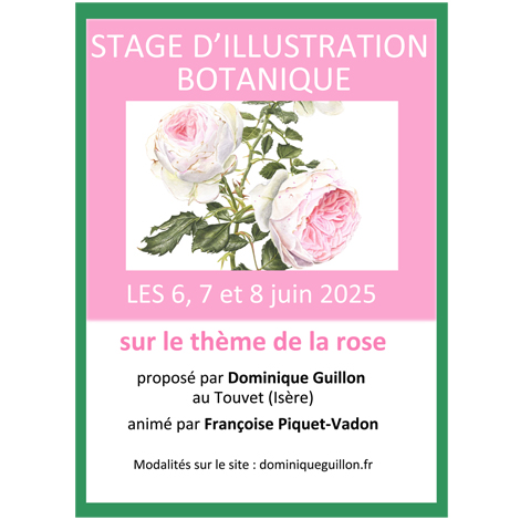 stage