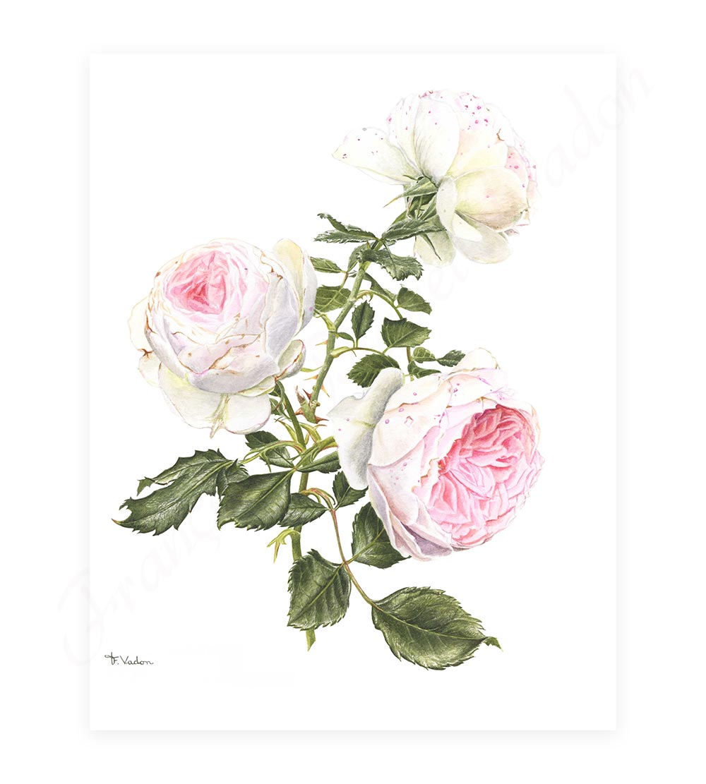 tirage d'art