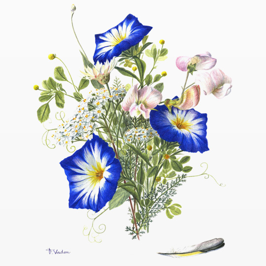 bouquetbleu