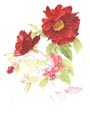 Pivoine aquarelle en cours aperçu étape 11